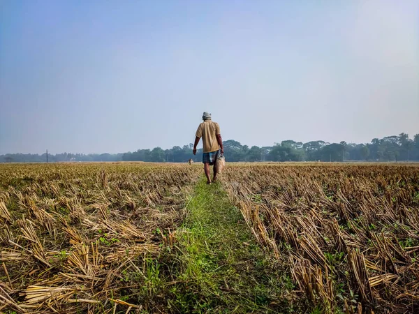 Fazendeiro Vai Embora Uma Estrada Campo Com Saco Comida Manhã Imagens De Bancos De Imagens