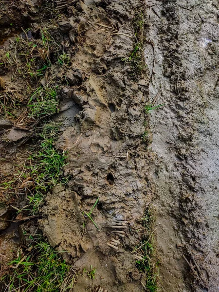 Imagem Tirada Frente Uma Estrada Terra Enlameada Meio Uma Quinta — Fotografia de Stock