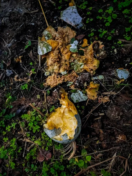 Morning Sun Shines Rotten Pumpkin Close Shot — Stock Photo, Image