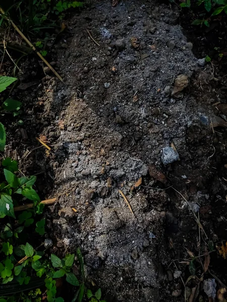 Esta Pilha Cinzas Perto Tiro Quando Luz Sol Manhã Cair — Fotografia de Stock