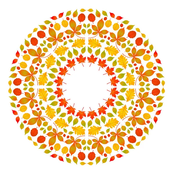 Vettore Colorato Circolare Rotondo Autunno Mandala Con Foglie Adulto Libro — Vettoriale Stock