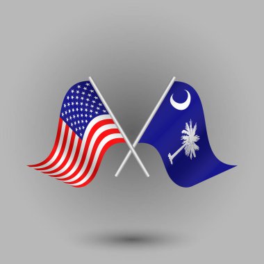 vector two crossed american and flag of south carolina on silver sticks - symbols of united states of america usa clipart