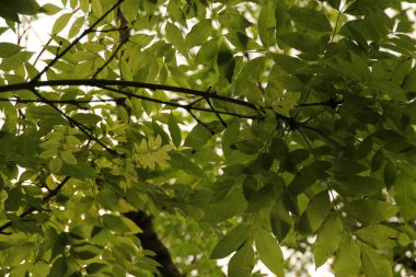 Bilbao 'nun banliyölerine park et.