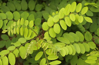 Bilbao 'nun banliyölerine park et.