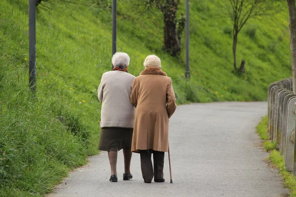 Ageing People Walking Park — Stock Photo, Image