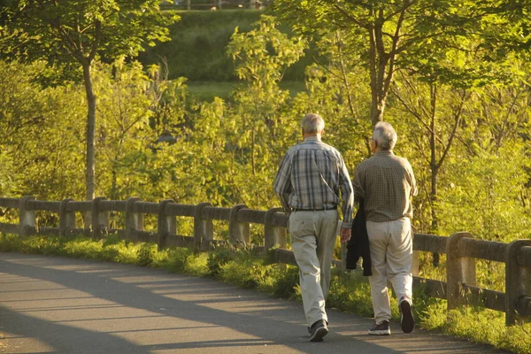 Ageing People Walking Park — Stock Photo, Image