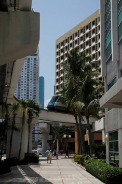 Miami şehir merkezinde bir bina.