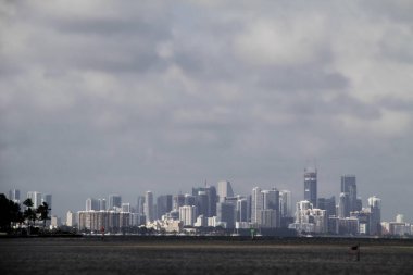 Miami şehir merkezinde bir bina.