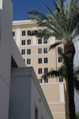 Miami şehir merkezinde bir bina.