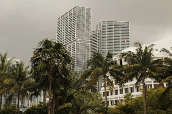 Miami Şehir Merkezinde Bir Bina — Stok fotoğraf