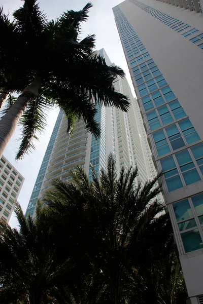 Edificio Centro Miami —  Fotos de Stock