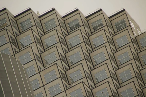 Stadslandskap Centrala Miami — Stockfoto