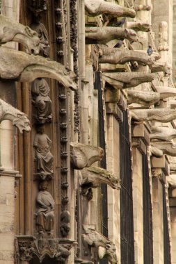 Notre Dame Katedrali, Paris