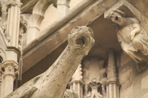 Katedrála Notre Dame Paříž — Stock fotografie
