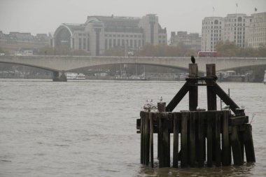 Londra şehir merkezinde bir bina.