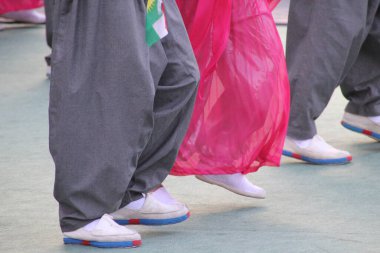 Fas 'tan halk dansı sergisi