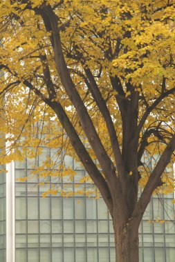 Bilbao şehrindeki şehir manzarası