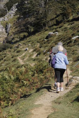 Kırsalda yürürken