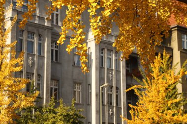 Berlin 'deki Urbascape