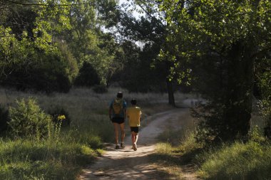 Kırsalda yürürken