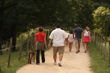 Kırsalda yürürken