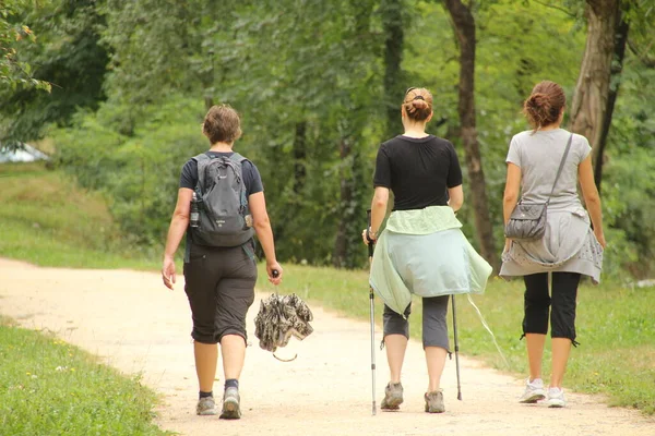 Caminando Por Campo — Foto de Stock