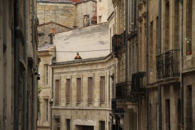 Bordeaux şehrinde apartman blokları