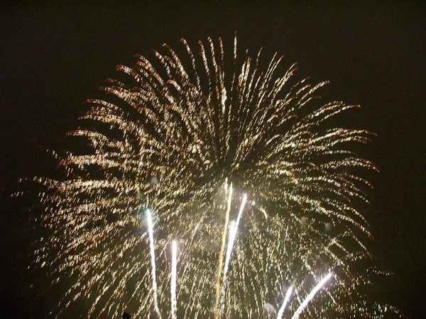 Fuochi Artificio Durante Festival — Foto Stock