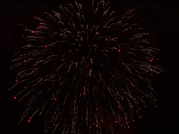 Fogos Artifício Durante Festival — Fotografia de Stock