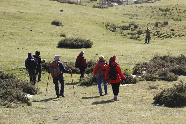 Senderismo Campo — Foto de Stock