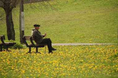 Parkta yaşlanan insanlar.