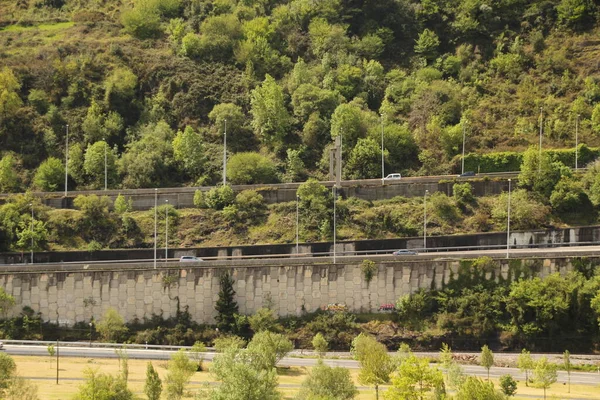 Végétation Printanière Dans Parc — Photo