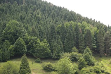 Bask Ülkesi 'nde Dağ