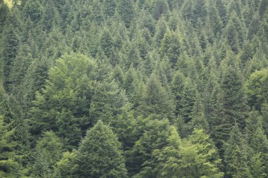 Bask Ülkesi 'nde Dağ