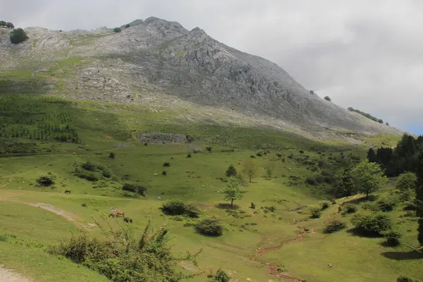 Montaña País Vasco —  Fotos de Stock