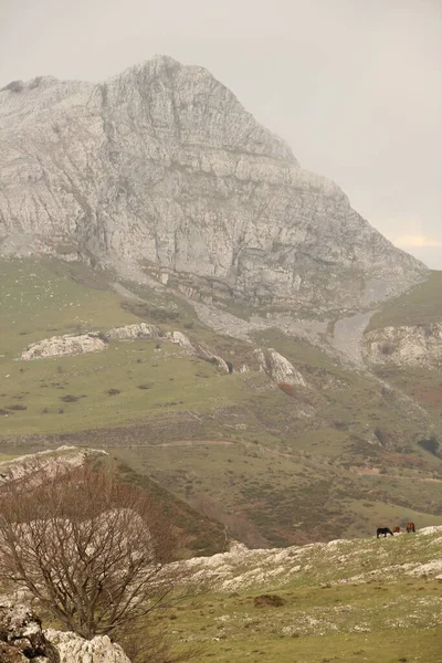 Montaña País Vasco — Foto de Stock