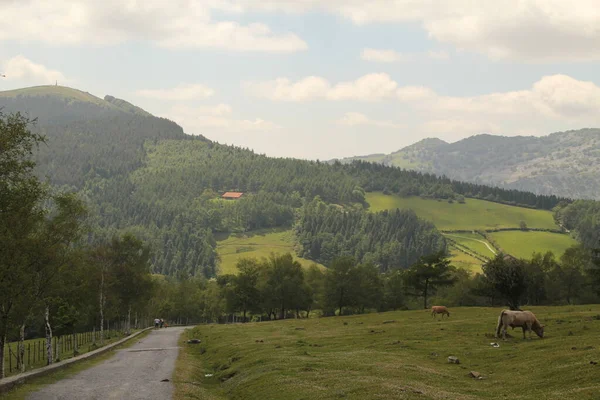 Bask Ülkesi Nde Dağ — Stok fotoğraf