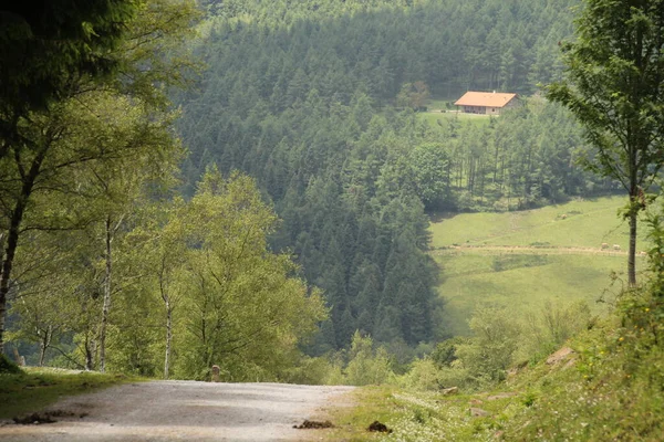 Гора Країні Басків — стокове фото