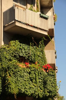 Berlin 'de şehir manzarası