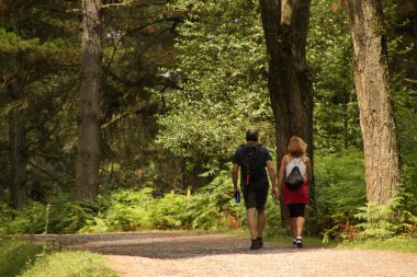Kırsalda yürüyüş yapmak.