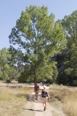 Kırsalda yürüyüş yapmak.