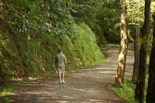 Wandern Auf Dem Land — Stockfoto