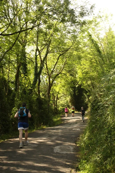 Wandern Auf Dem Land — Stockfoto