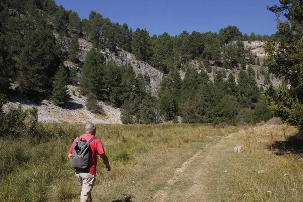 Hiking in the countryside