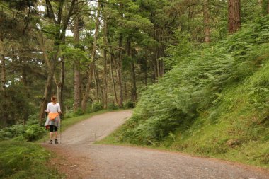 Kırsalda yürüyüş yapmak.
