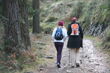 Kırsalda yürüyüş yapmak.