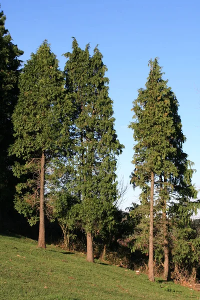 Berg Baskenland — Stockfoto