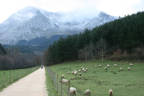 Mountain Basque Country — Stock Photo, Image