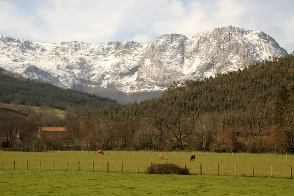 Berg Baskenland — Stockfoto