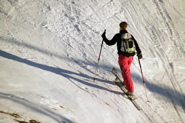 Promenade Dans Les Alpes Allemandes — Photo